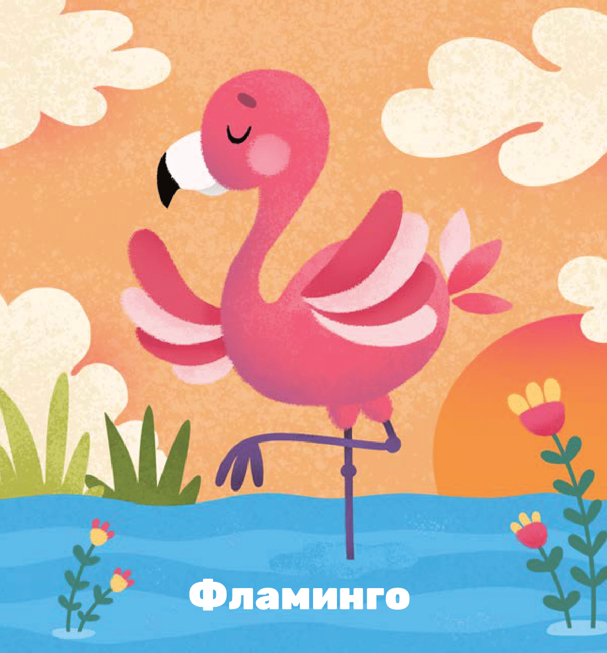 МЕКИША воли животиње