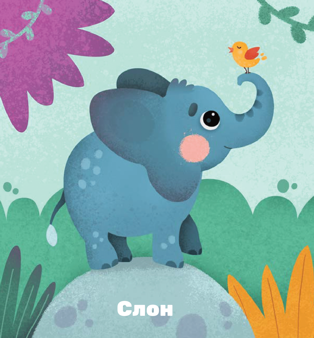 МЕКИША воли животиње