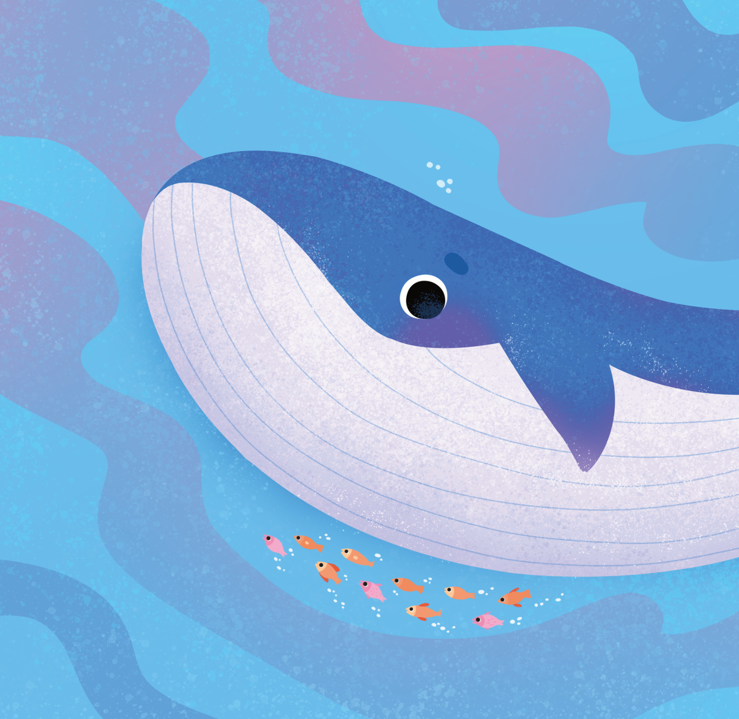 МЕКИША - Подводни свет