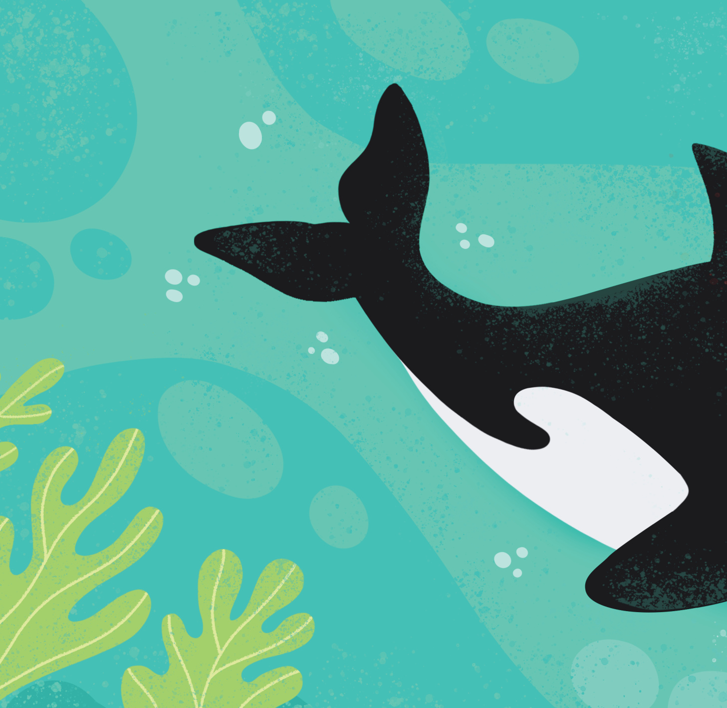 МЕКИША - Подводни свет